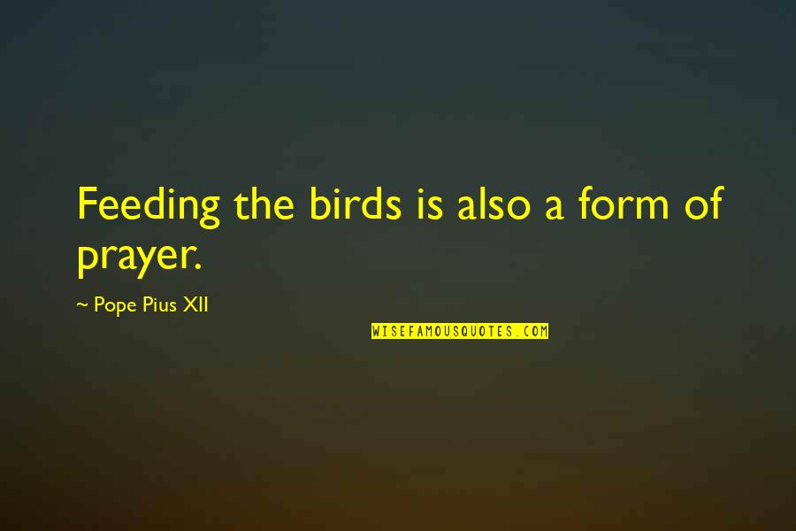 Chalara Quotes By Pope Pius XII: Feeding the birds is also a form of