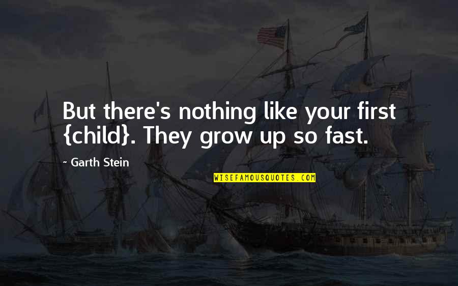 Chalkie Paint Quotes By Garth Stein: But there's nothing like your first {child}. They