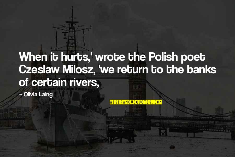 Chalknot Quotes By Olivia Laing: When it hurts,' wrote the Polish poet Czeslaw