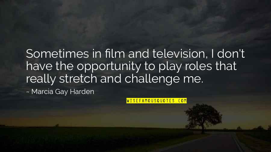 Challenge And Opportunity Quotes By Marcia Gay Harden: Sometimes in film and television, I don't have