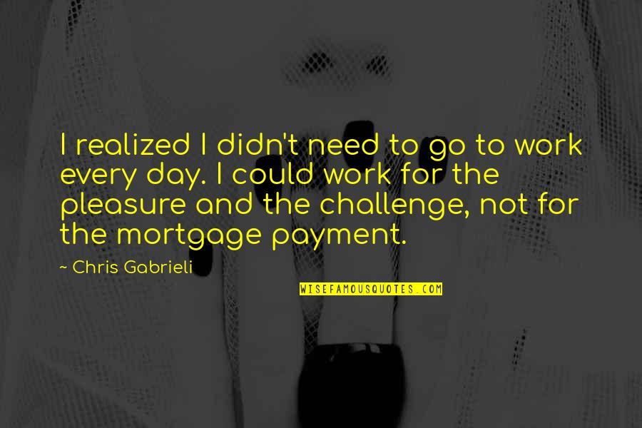 Challenge At Work Quotes By Chris Gabrieli: I realized I didn't need to go to