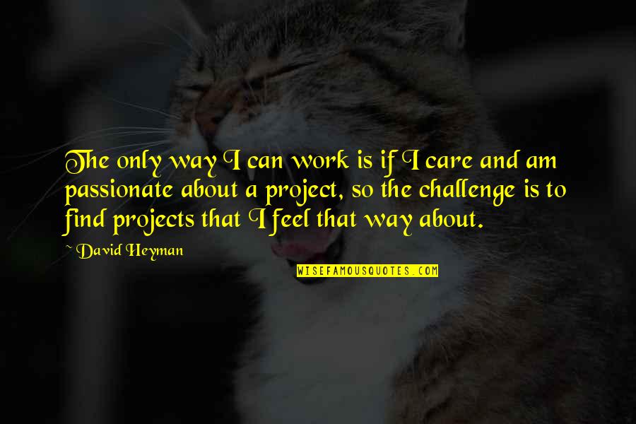 Challenge At Work Quotes By David Heyman: The only way I can work is if