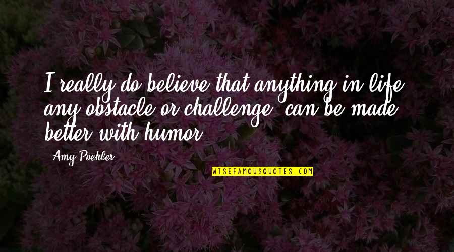 Challenge Life Quotes By Amy Poehler: I really do believe that anything in life,
