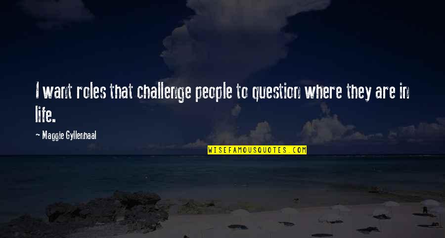 Challenge Life Quotes By Maggie Gyllenhaal: I want roles that challenge people to question