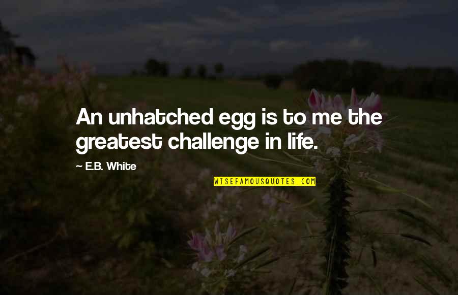 Challenge Me Quotes By E.B. White: An unhatched egg is to me the greatest