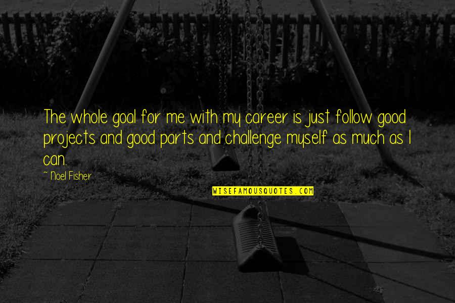 Challenge Me Quotes By Noel Fisher: The whole goal for me with my career