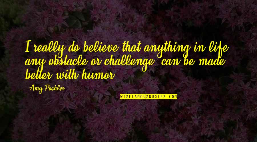 Challenge Obstacle Quotes By Amy Poehler: I really do believe that anything in life,