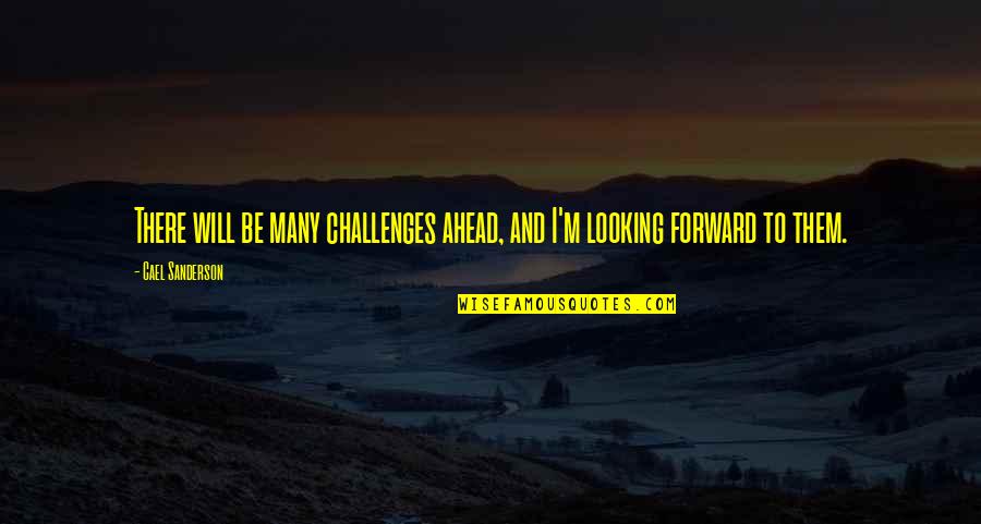 Challenges Ahead Quotes By Cael Sanderson: There will be many challenges ahead, and I'm