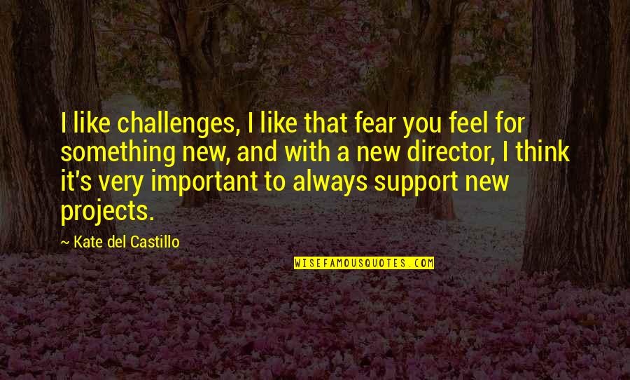 Challenges And Fear Quotes By Kate Del Castillo: I like challenges, I like that fear you