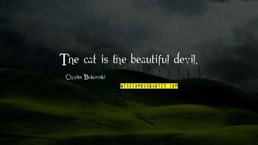 Challenges In Life Pinterest Quotes By Charles Bukowski: The cat is the beautiful devil.