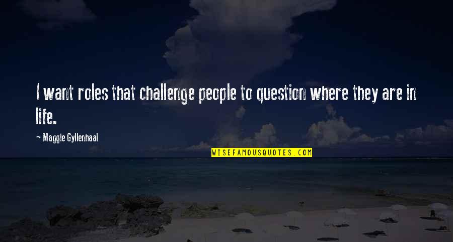 Challenges In Life Quotes By Maggie Gyllenhaal: I want roles that challenge people to question