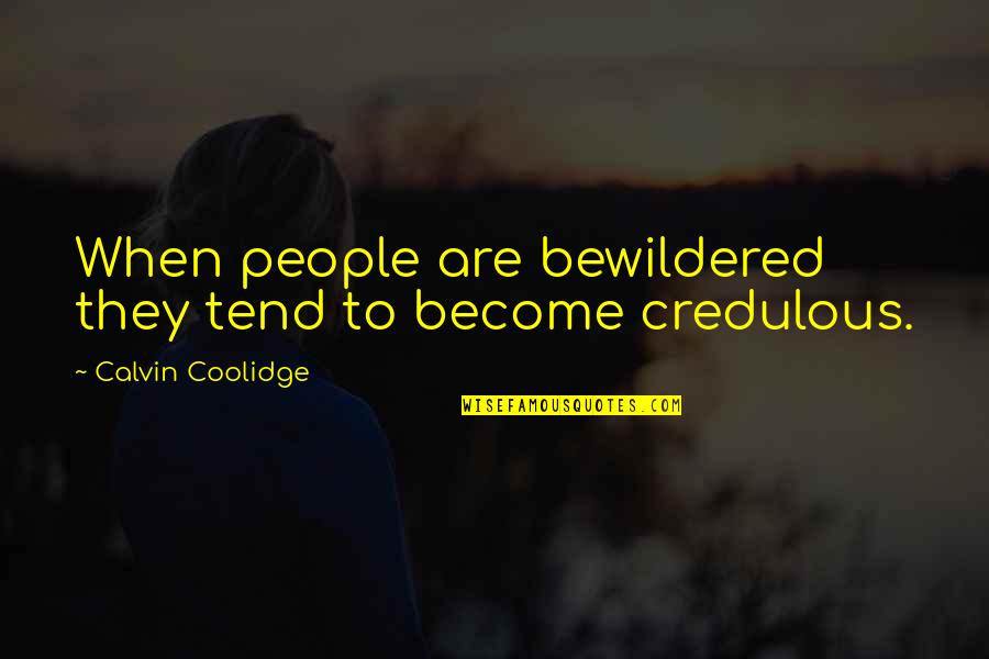 Challenging Jobs Quotes By Calvin Coolidge: When people are bewildered they tend to become