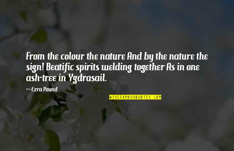 Challoners Quotes By Ezra Pound: From the colour the nature And by the