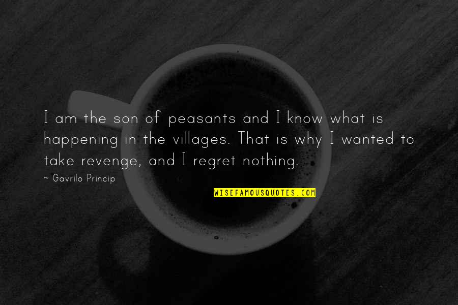 Challoners Quotes By Gavrilo Princip: I am the son of peasants and I
