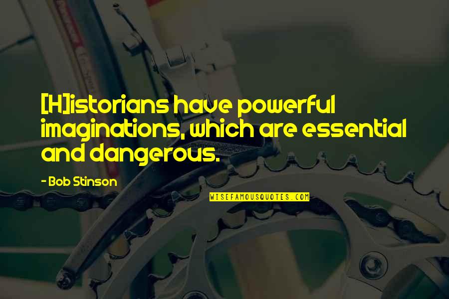 Chamanenyu Quotes By Bob Stinson: [H]istorians have powerful imaginations, which are essential and
