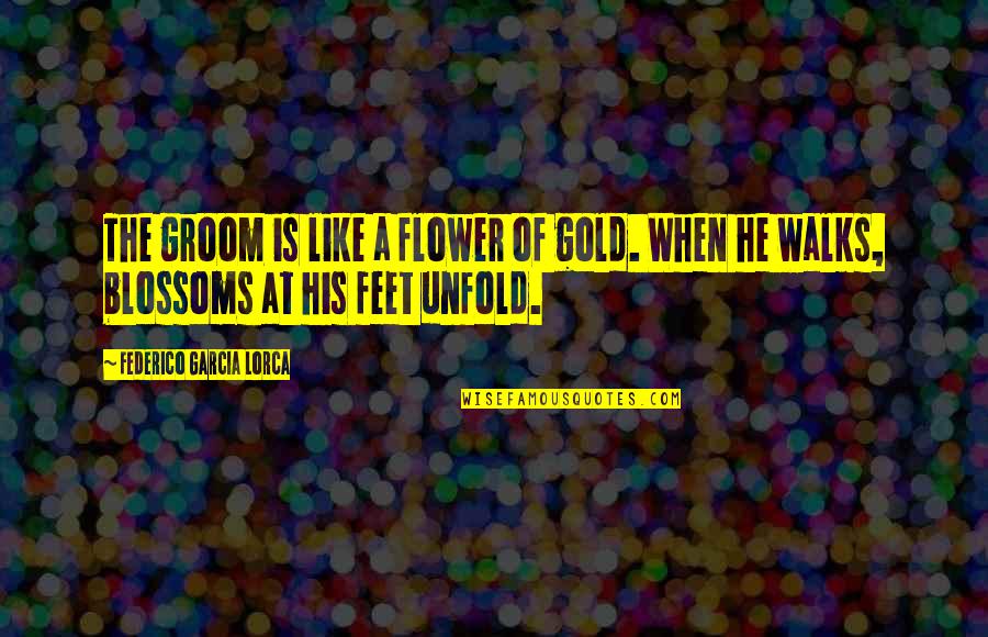 Chamanenyu Quotes By Federico Garcia Lorca: The groom is like a flower of gold.