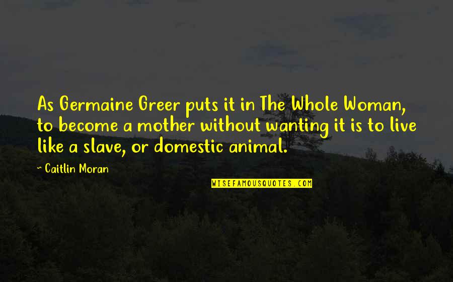 Chambolle Natuursteen Quotes By Caitlin Moran: As Germaine Greer puts it in The Whole Chambolle Natuursteen Quotes By Caitlin Moran: As Germaine Greer puts it in The Whole