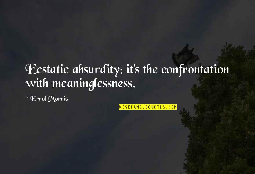 Chamfort Maxims Quotes By Errol Morris: Ecstatic absurdity: it's the confrontation with meaninglessness.