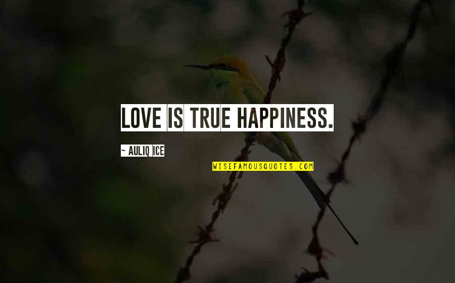 Chamo Rosso Quotes By Auliq Ice: Love is true happiness.