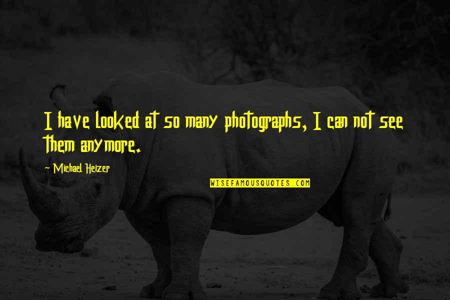 Chamot Rokka Quotes By Michael Heizer: I have looked at so many photographs, I