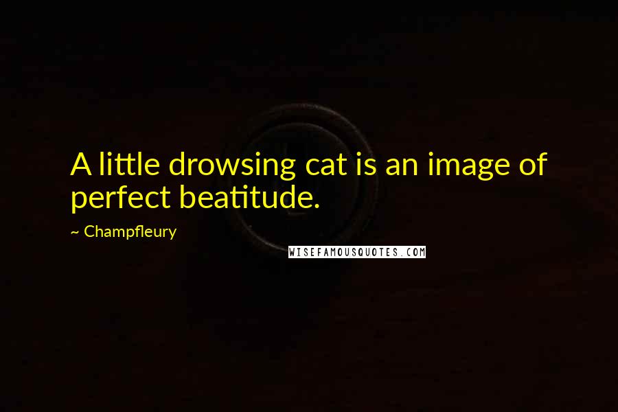 Champfleury quotes: A little drowsing cat is an image of perfect beatitude.