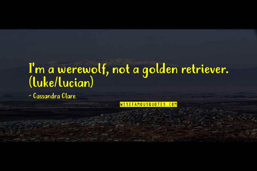 Champion Mindset Quotes By Cassandra Clare: I'm a werewolf, not a golden retriever. (Luke/Lucian)