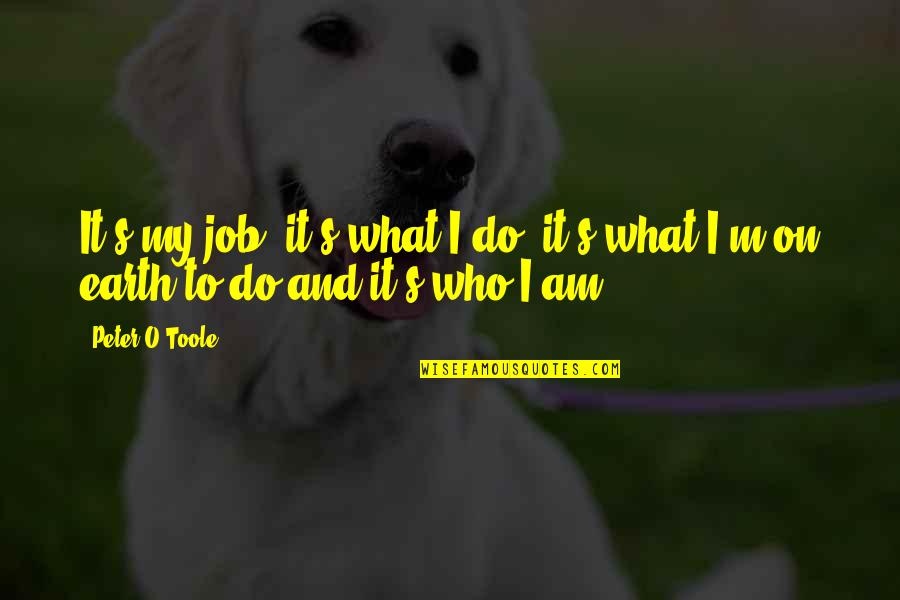 Championing Change Quotes By Peter O'Toole: It's my job, it's what I do, it's