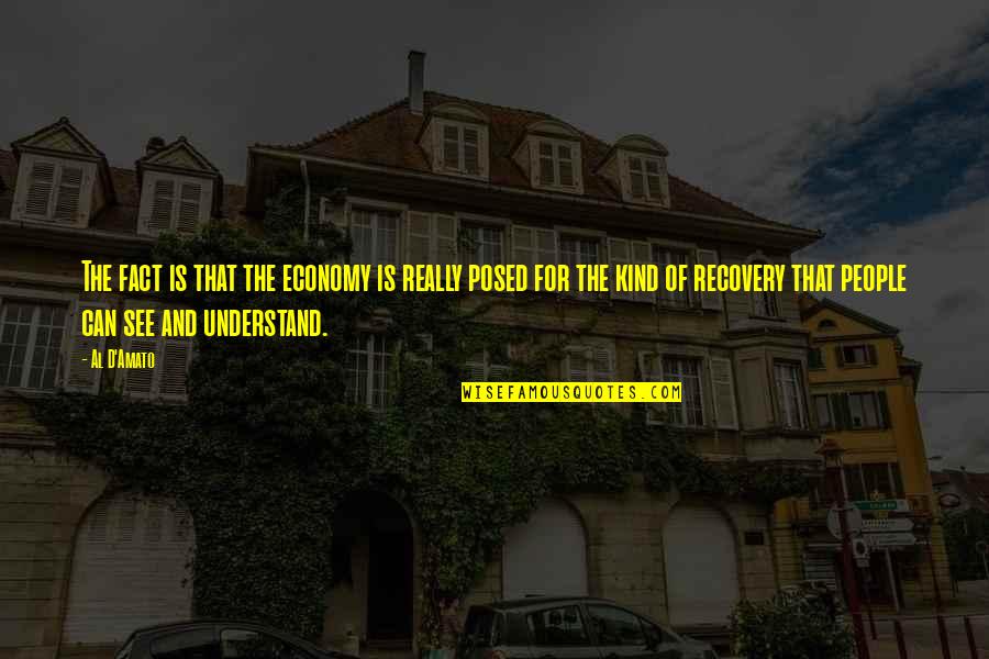 Chamsine Halat Quotes By Al D'Amato: The fact is that the economy is really