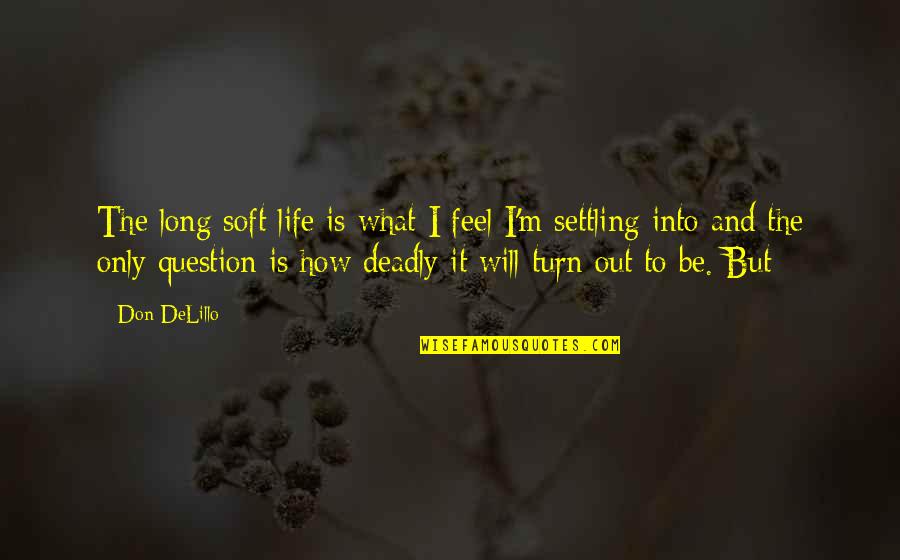 Chamsine Halat Quotes By Don DeLillo: The long soft life is what I feel