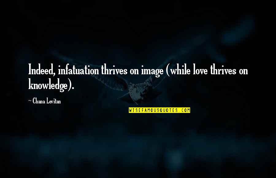 Chana Quotes By Chana Levitan: Indeed, infatuation thrives on image (while love thrives