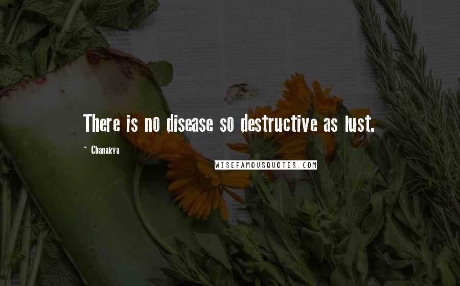 Chanakya quotes: There is no disease so destructive as lust.