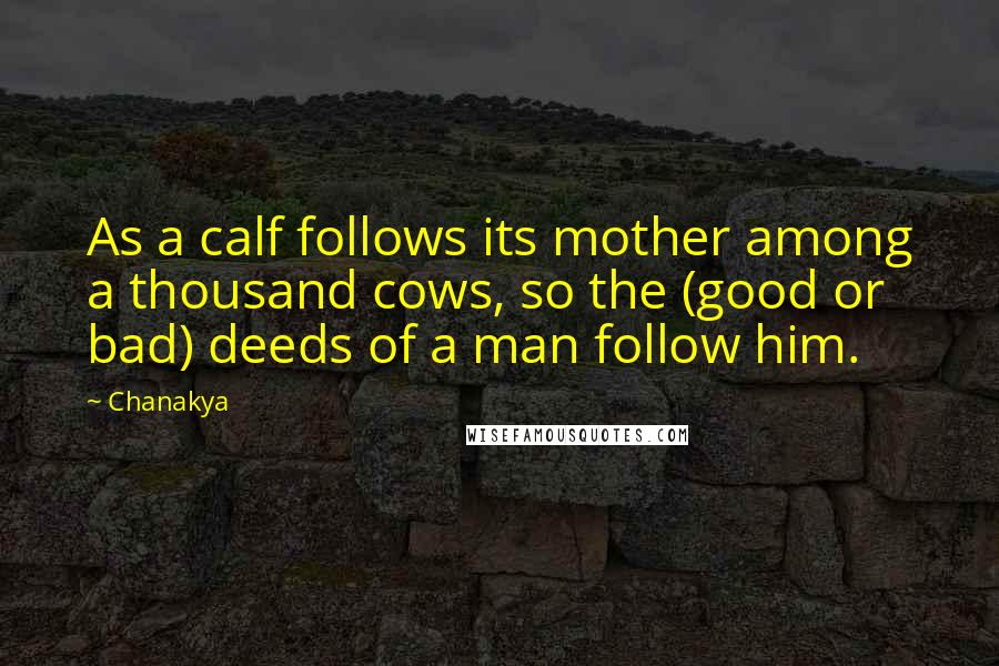 Chanakya quotes: As a calf follows its mother among a thousand cows, so the (good or bad) deeds of a man follow him.