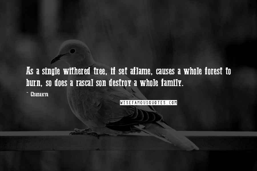 Chanakya quotes: As a single withered tree, if set aflame, causes a whole forest to burn, so does a rascal son destroy a whole family. Chanakya quotes: As a single withered tree, if set aflame, causes a whole forest to burn, so does a rascal son destroy a whole family.