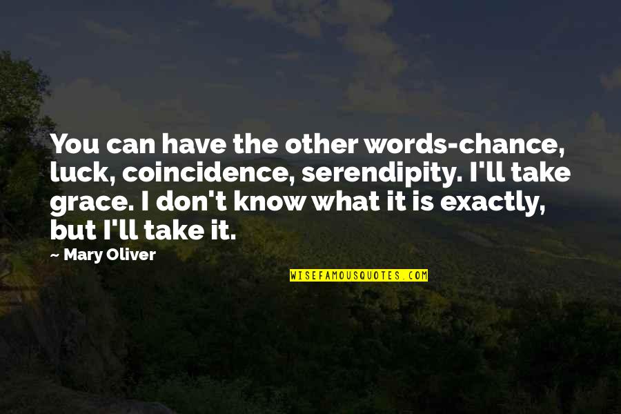 Chance And Coincidence Quotes By Mary Oliver: You can have the other words-chance, luck, coincidence,