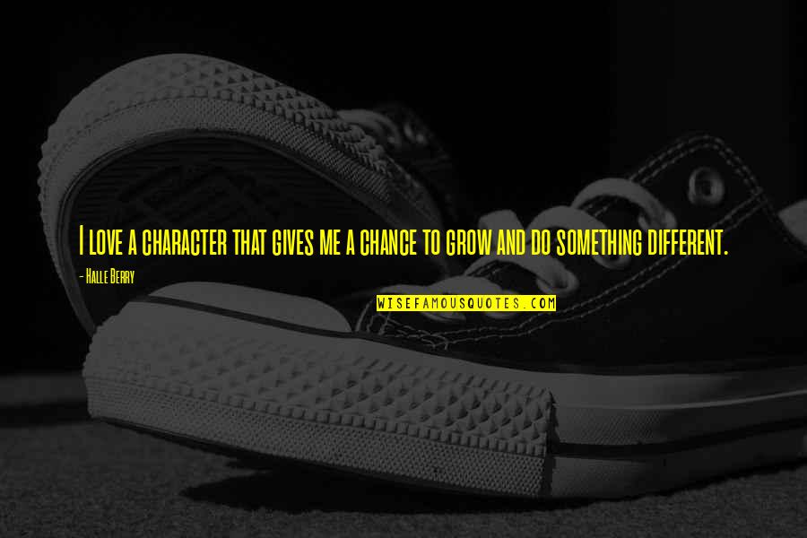 Chance And Love Quotes By Halle Berry: I love a character that gives me a