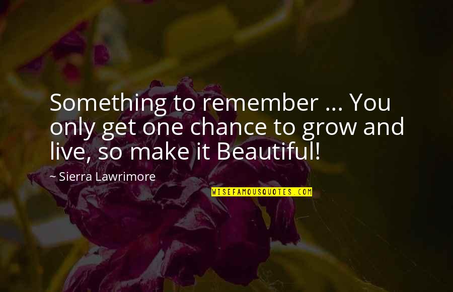 Chance And Love Quotes By Sierra Lawrimore: Something to remember ... You only get one