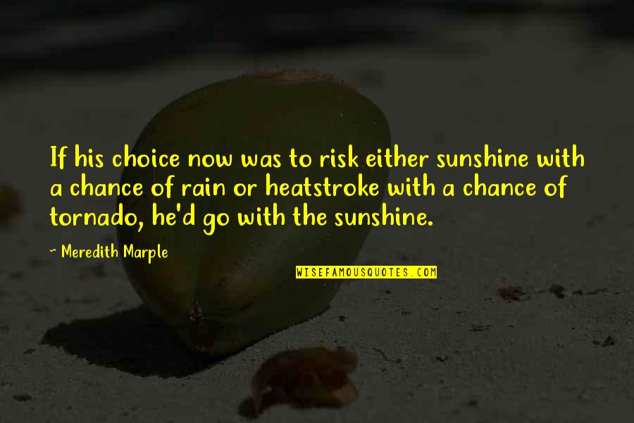 Chance And Risk Quotes By Meredith Marple: If his choice now was to risk either