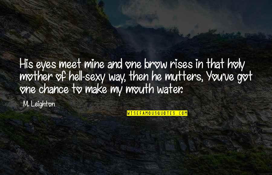 Chance In Hell Quotes By M. Leighton: His eyes meet mine and one brow rises