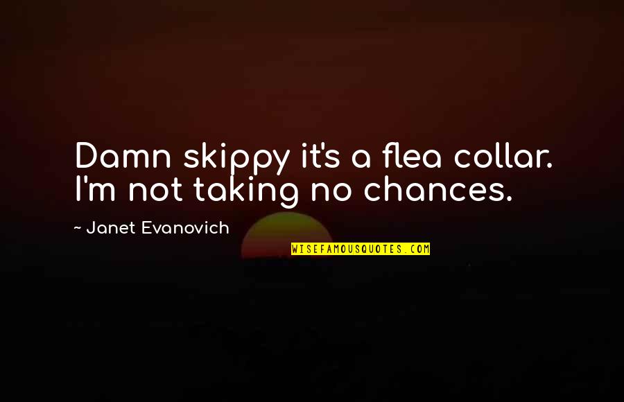 Chances Quotes By Janet Evanovich: Damn skippy it's a flea collar. I'm not