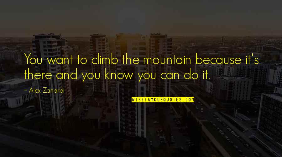 Chand Bibi Quotes By Alex Zanardi: You want to climb the mountain because it's