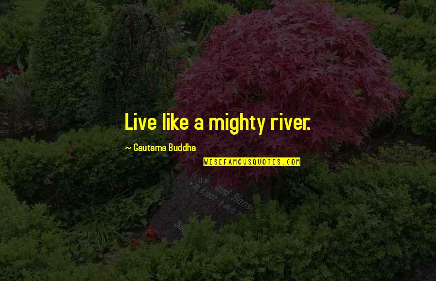Chandler Monica Quotes By Gautama Buddha: Live like a mighty river.
