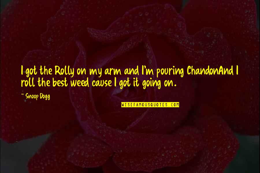 Chandon Quotes By Snoop Dogg: I got the Rolly on my arm and