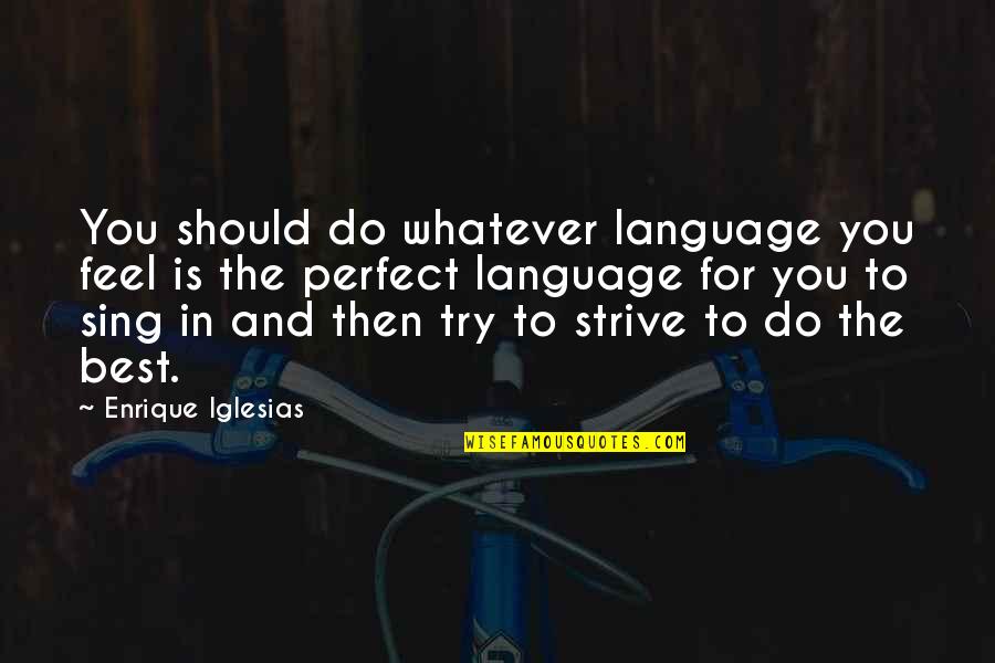Chandra Karya Quotes By Enrique Iglesias: You should do whatever language you feel is