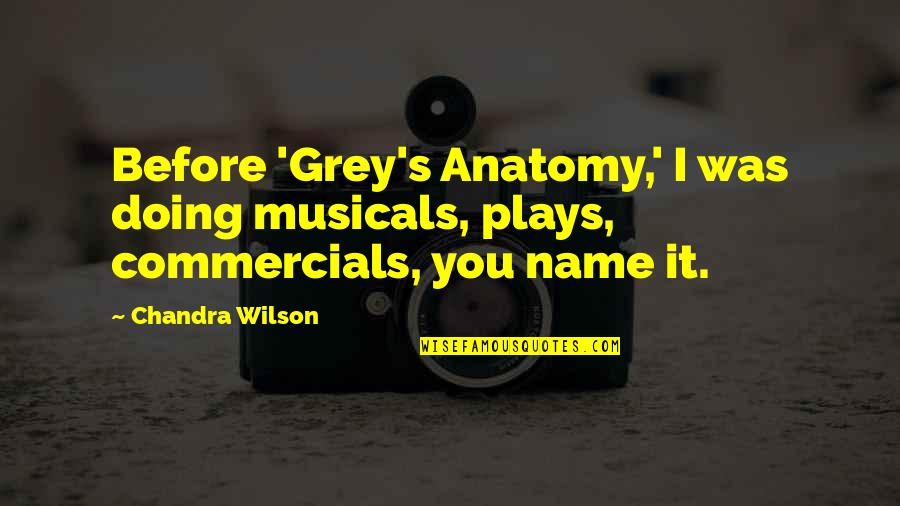 Chandra Quotes By Chandra Wilson: Before 'Grey's Anatomy,' I was doing musicals, plays,