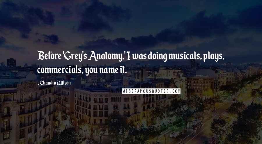 Chandra Wilson quotes: Before 'Grey's Anatomy,' I was doing musicals, plays, commercials, you name it.