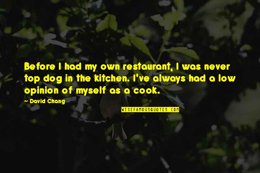 Chang Quotes By David Chang: Before I had my own restaurant, I was