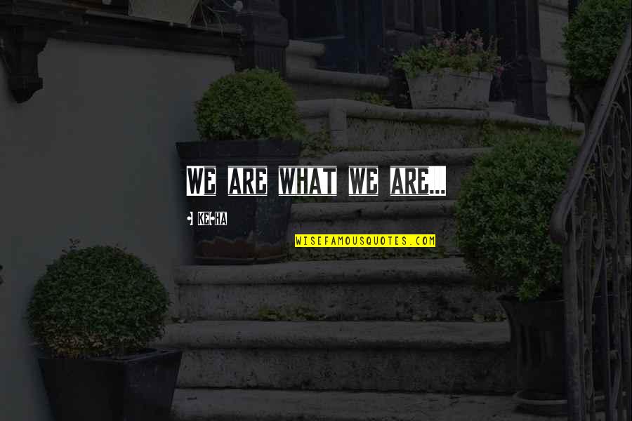 Chang San Feng Quotes By Ke$ha: We are what we are...