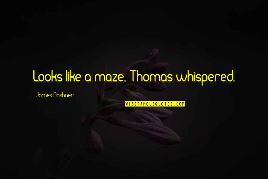 Change And Balance Quotes By James Dashner: Looks like a maze," Thomas whispered,