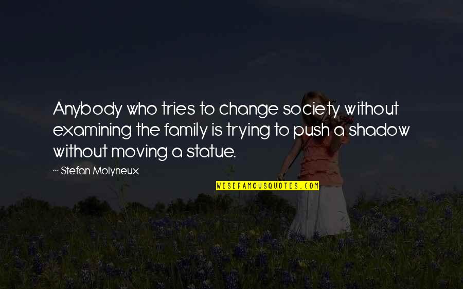 Change Anybody Quotes By Stefan Molyneux: Anybody who tries to change society without examining