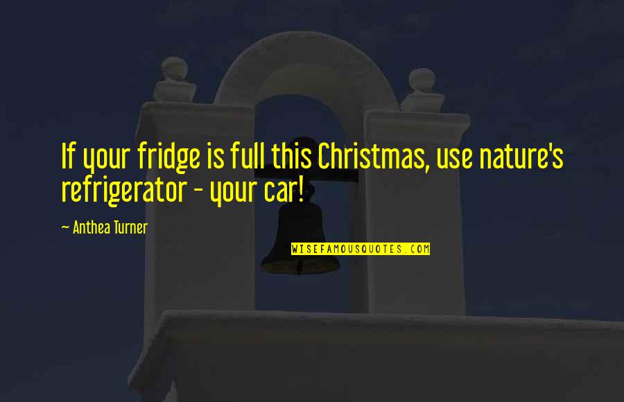 Change Being Inevitable Quotes By Anthea Turner: If your fridge is full this Christmas, use